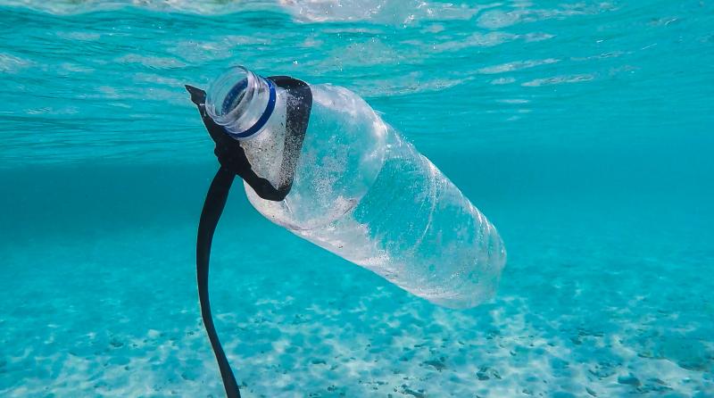 SDG 14 - La scommessa 
